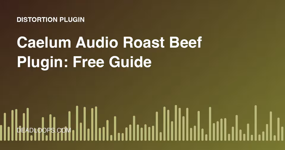 Caelum Audio Roast Beef Plugin: Free Guide