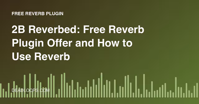2B Reverbed: Free Reverb Plugin Offer and How to Use Reverb