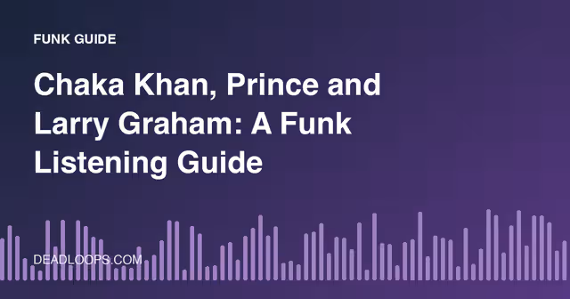 Chaka Khan, Prince and Larry Graham: A Funk Listening Guide