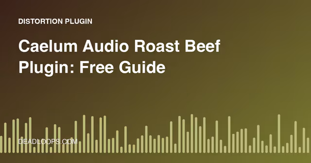 Caelum Audio Roast Beef Plugin: Free Guide