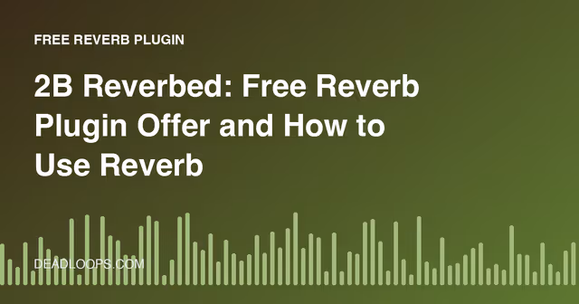 2B Reverbed: Free Reverb Plugin Offer and How to Use Reverb