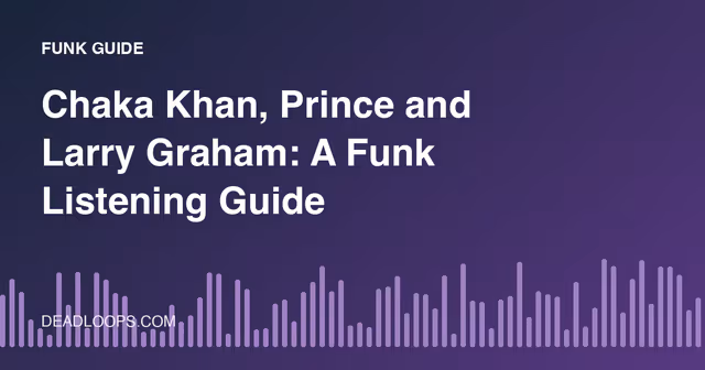 Chaka Khan, Prince and Larry Graham: A Funk Listening Guide